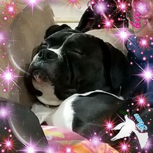 Meet your Posher, Jessie